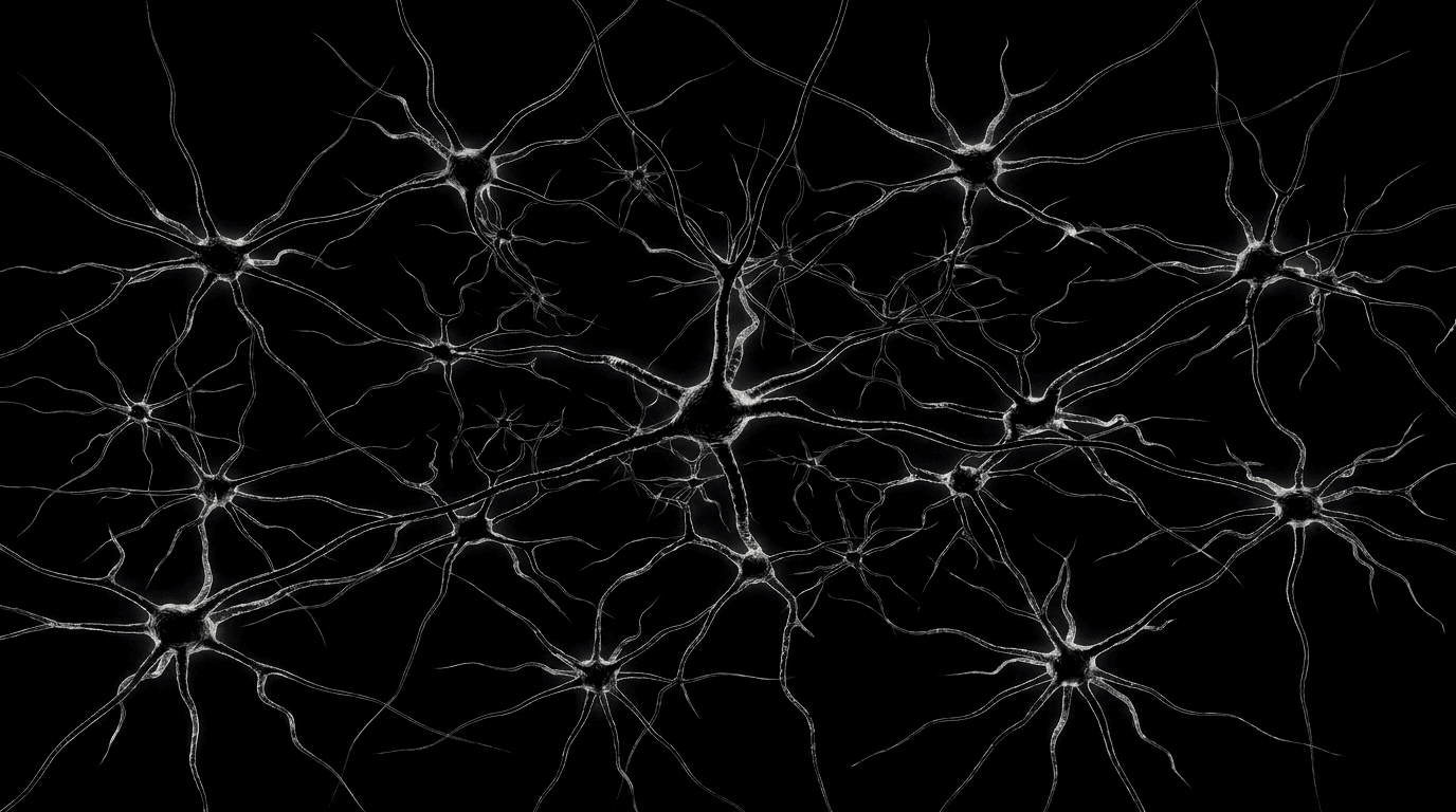 Neural network illustration — each lit node is a project, shipped or in progress
